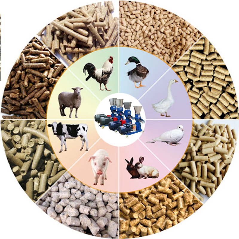 Electric Grain Grinder Mill Electric Animal Feed Pellet Machine Wet/Dry Cereals Grinder for Rice
