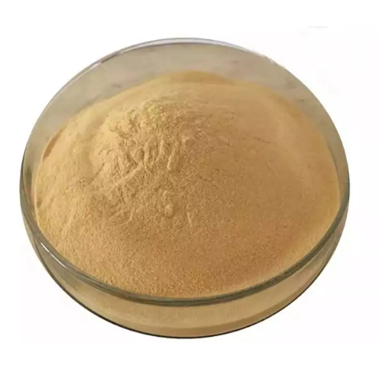 Animal Feed Grade Fresh Brewers Yeast Additive for poultry livestock aquatic feed
