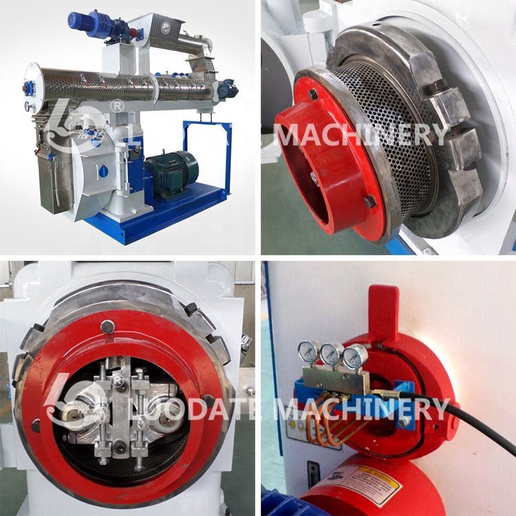 2 Year Warranty Feed Pellet Machine Hot-Selling Feed Processing Machine Best Deals Pelletizer Machine For Animal Feeds
