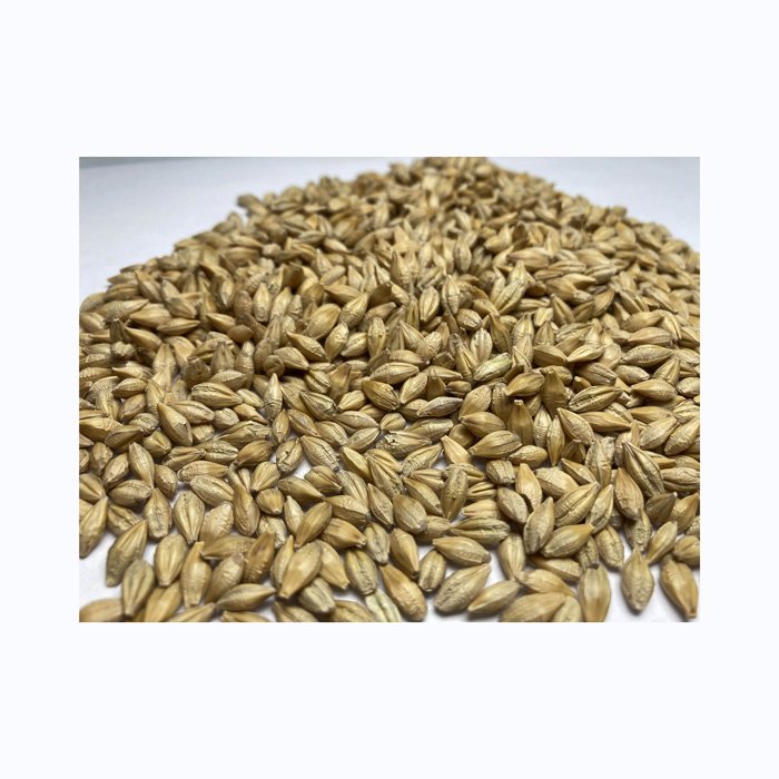 Barley Grains Premium Barley Seeds/Animal feed barley/bulk barley grains Malted Barley Malt grain for sale Top Grade For Sale