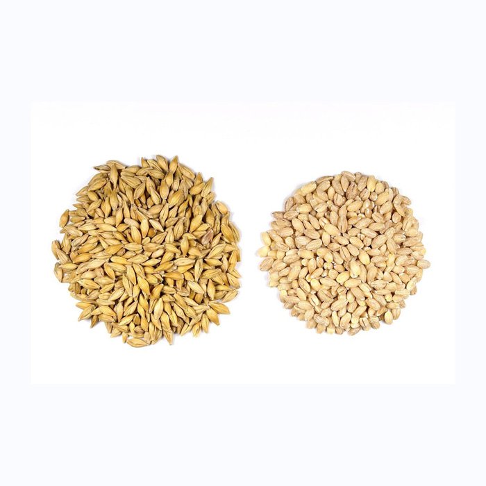 Barley Grains Premium Barley Seeds/Animal feed barley/bulk barley grains Malted Barley Malt grain for sale Top Grade For Sale