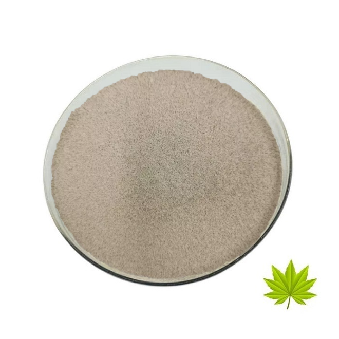 Active Dry Yeast Live Yeast Saccharomyces Cerevisiae for Animal Feed