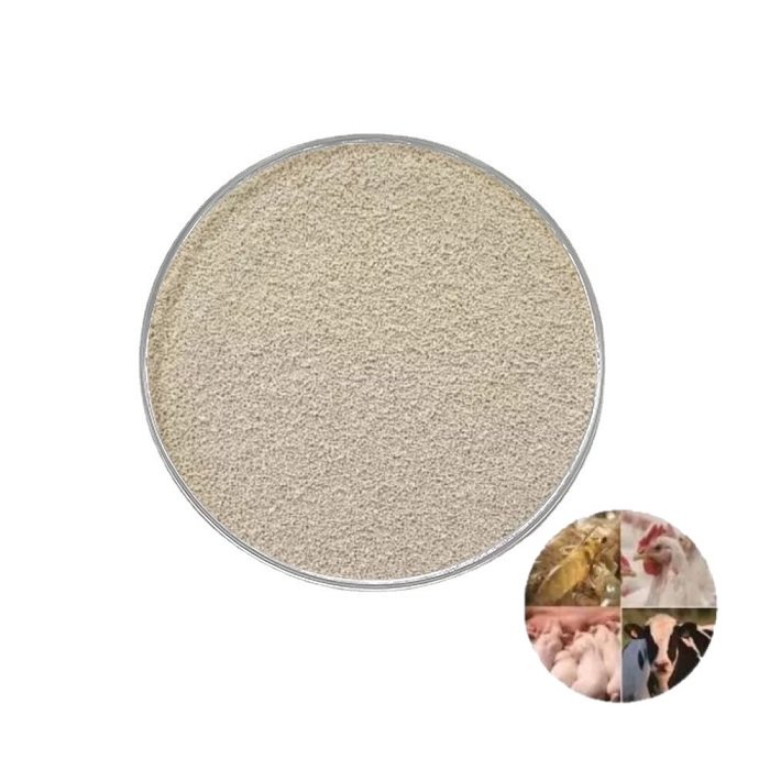 Active Dry Yeast Live Yeast Saccharomyces Cerevisiae for Animal Feed