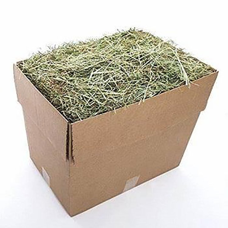 Best Market Price Superior Quality Oat Hay Animal Feed Agriculture Use Alfalfa Hay or Timothy Pellets for Dog, Fish, Horse