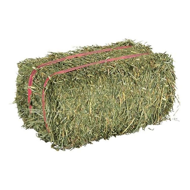 Best Market Price Superior Quality Oat Hay Animal Feed Agriculture Use Alfalfa Hay or Timothy Pellets for Dog, Fish, Horse