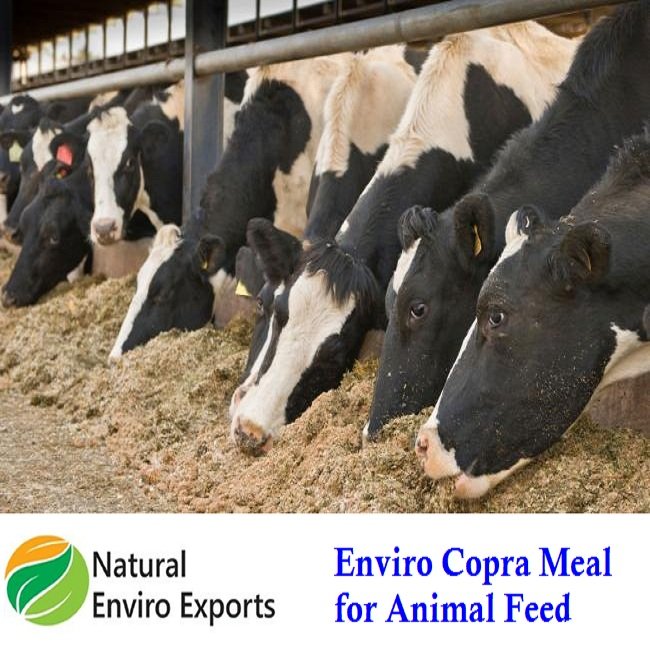 Coconut Copra Meal for Animal Feed from Enviro Export