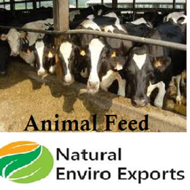 Coconut Copra Meal for Animal Feed from Enviro Export