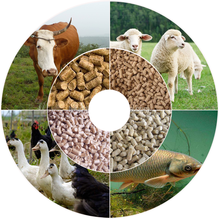 Customer Solution Feed Processing Machine CE Certification Feed Pellet Machine Factory Outlet Pelletizer Machine For Animal Feed