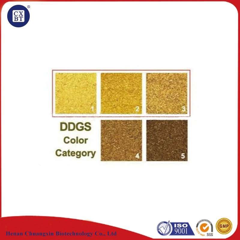 100% Natural Dried Rice DDGS Feed High Protein Animal Feed Rice DDGS