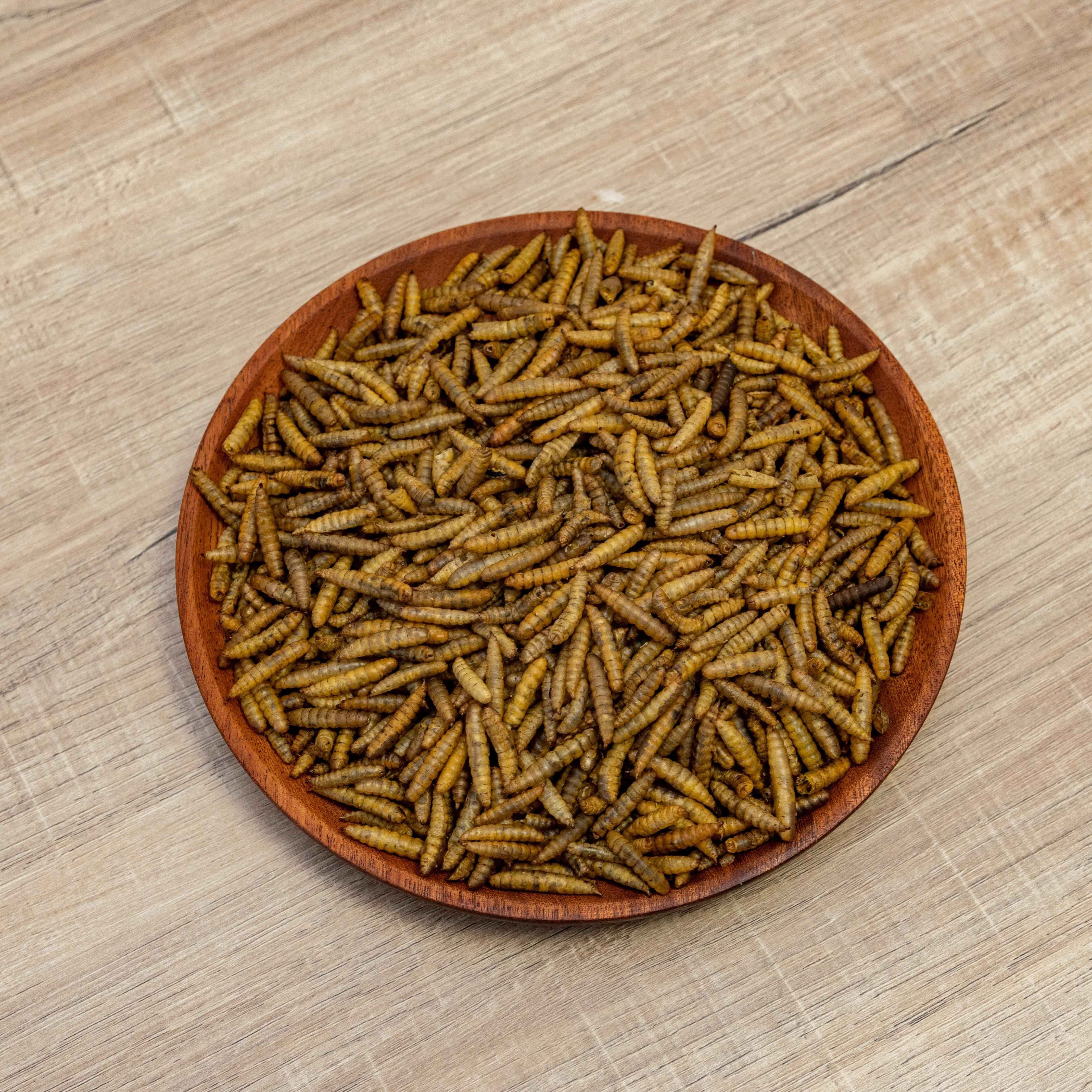 Factory Wholesales Dried black soldier fly larvae BSF for Animal Feed additive