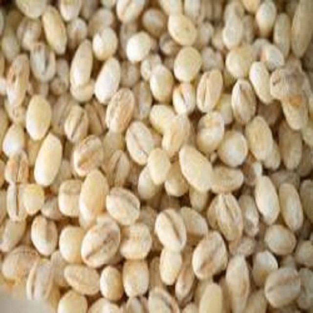 Animal Pearl Barley Feed for Food Dogs Cattle Horses Pigs and Farm Animals Packaged in Bags