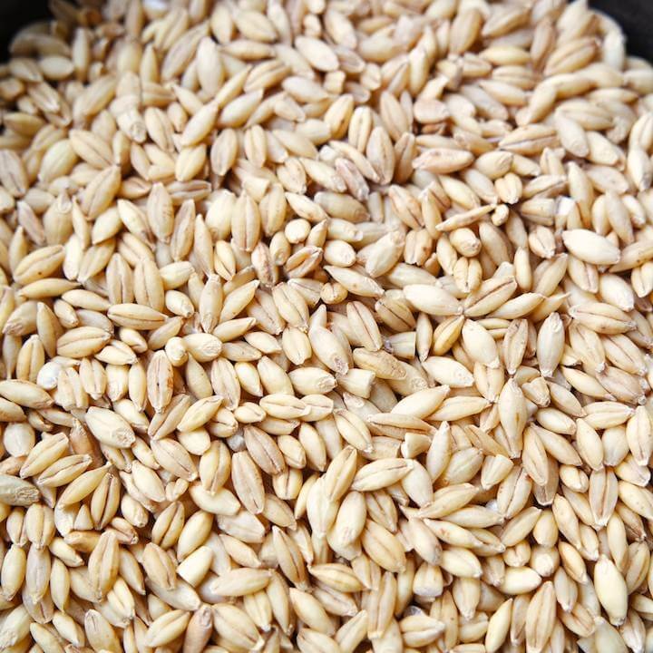 Animal Pearl Barley Feed for Food Dogs Cattle Horses Pigs and Farm Animals Packaged in Bags