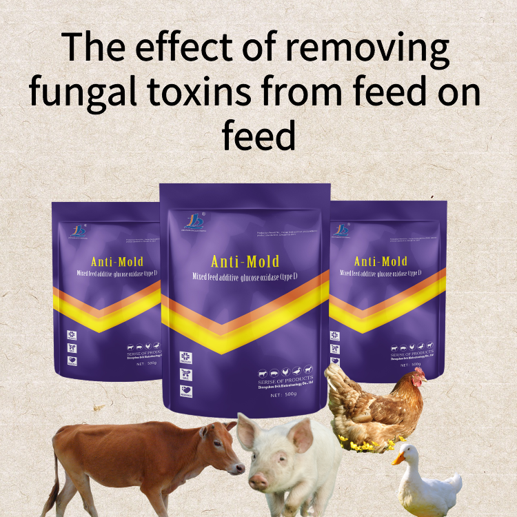 Toxin adhesive powder for promoting growth in animal feed glucose oxidizing mold to maintain feed health