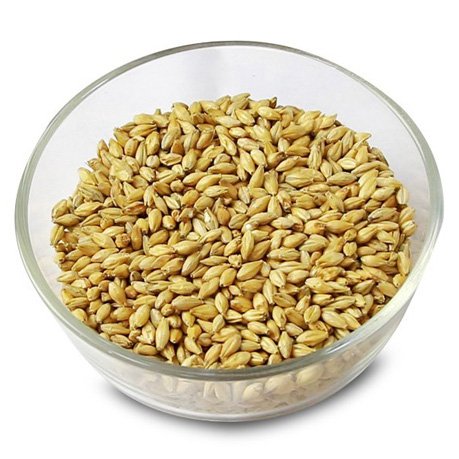Barley for Malt, Barley Feed, Malted Barley Animal Feed Barley FOR HUMAN CONSUMPTION Hot Sales HIGH GRADE