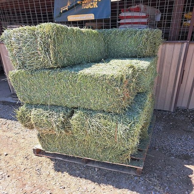 Very cheap price / Quality Rhodes Grass Hay Alfalfa Animal Feed Alfafa Hay for Animal Feeding