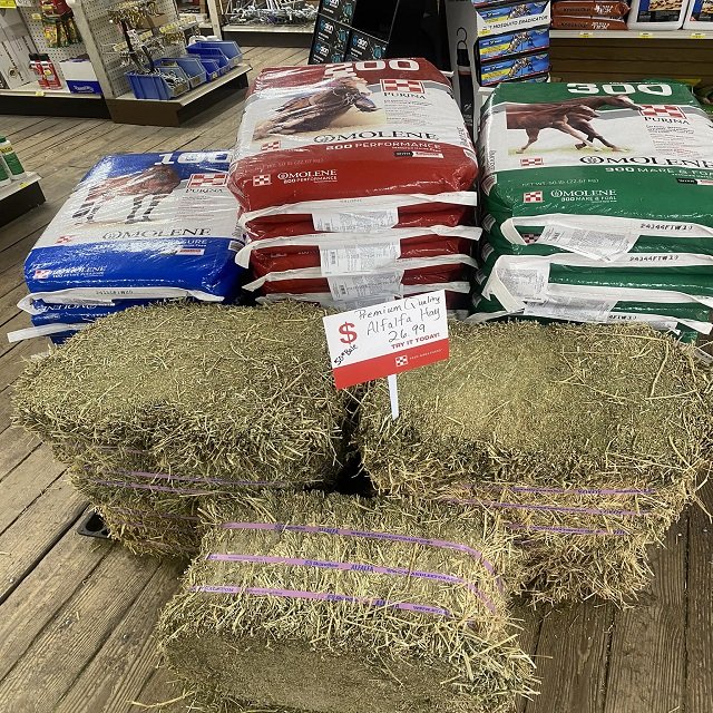 Very cheap price / Quality Rhodes Grass Hay Alfalfa Animal Feed Alfafa Hay for Animal Feeding