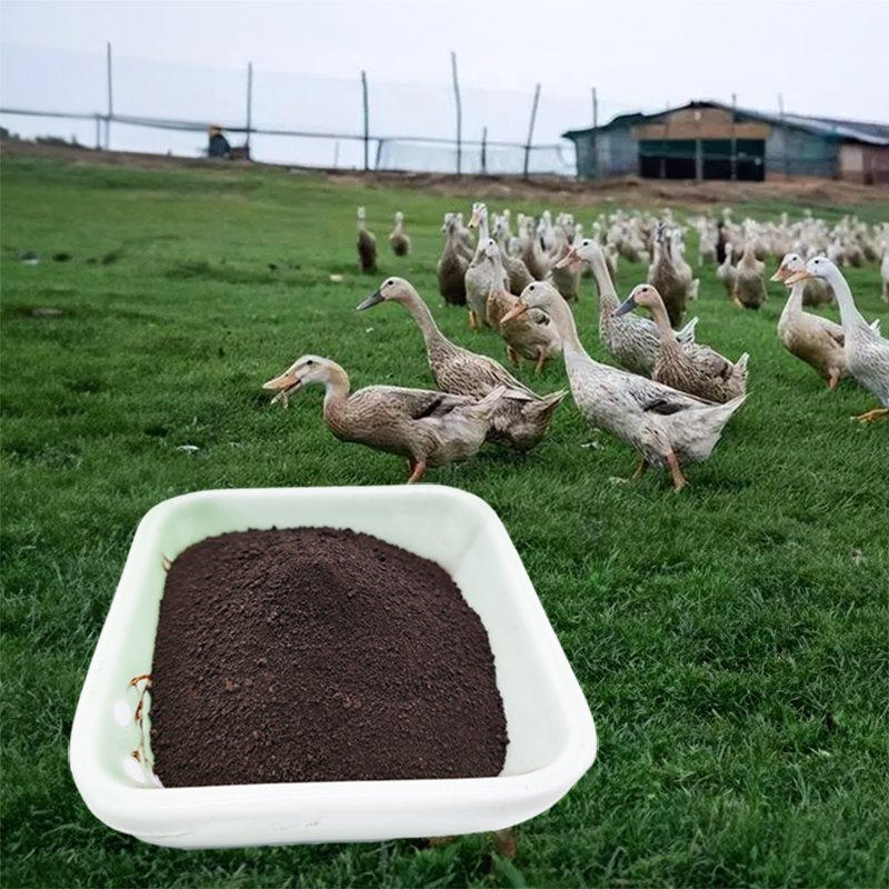 HIGH-QUALITY POULTRY MULTI-ELEMENT CHELATE GRADE ANIMAL FEED PREMIX FOR MEAT DUCK FEED ADDITIVE