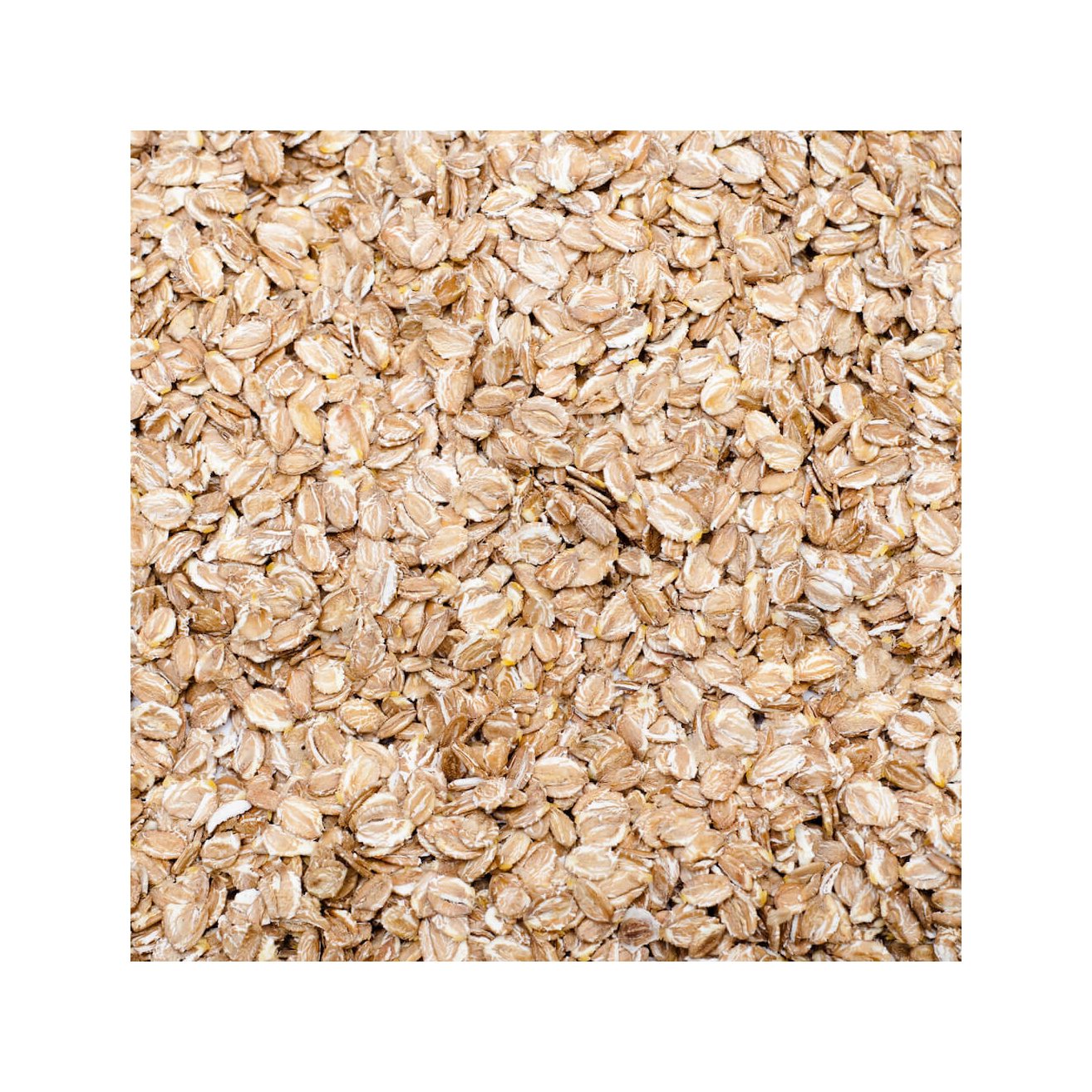 Barley Grains Premium Barley Seeds/Animal feed barley/bulk barley grains Malted Barley Malt grain for sale Top Grade