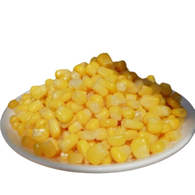 Top Selling Wholesale Price Organic High Protein Yellow Maize for Animal Feed