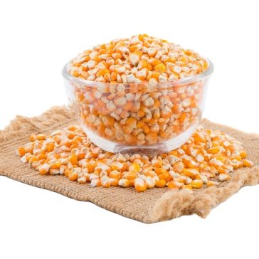 Top Selling Wholesale Price Organic High Protein Yellow Maize for Animal Feed