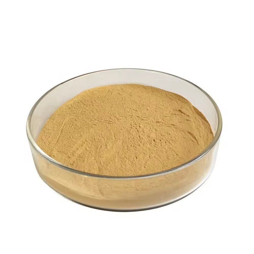 dried yeast powder animal feed Good Quality