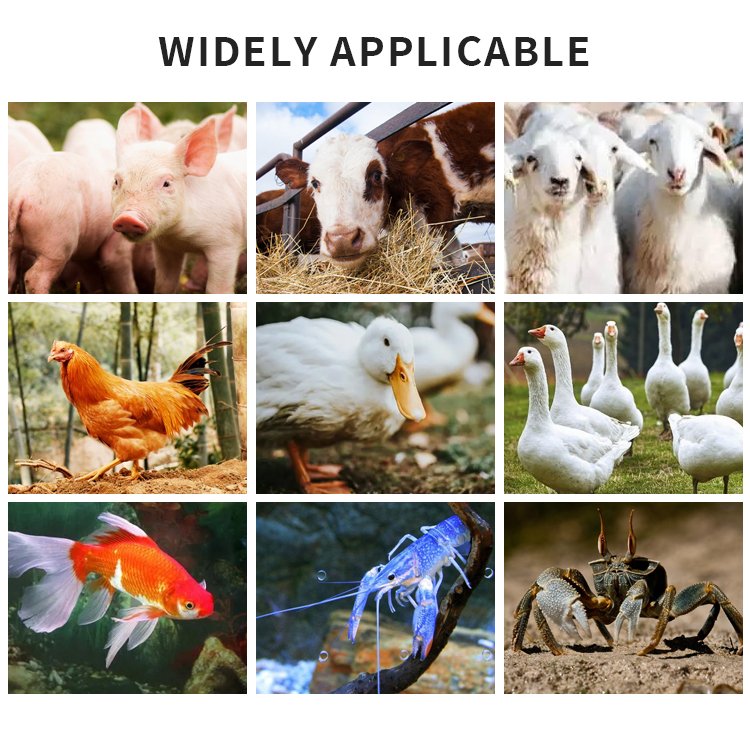 feed pellet machine 600kg animal feed pellet dryer machine broiler feed pellet machine