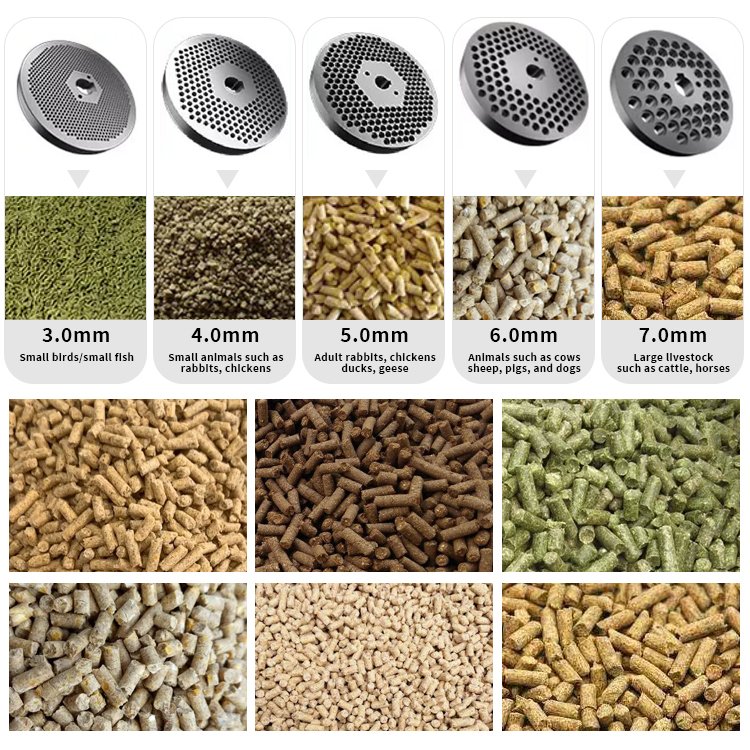 feed pellet machine 600kg animal feed pellet dryer machine broiler feed pellet machine