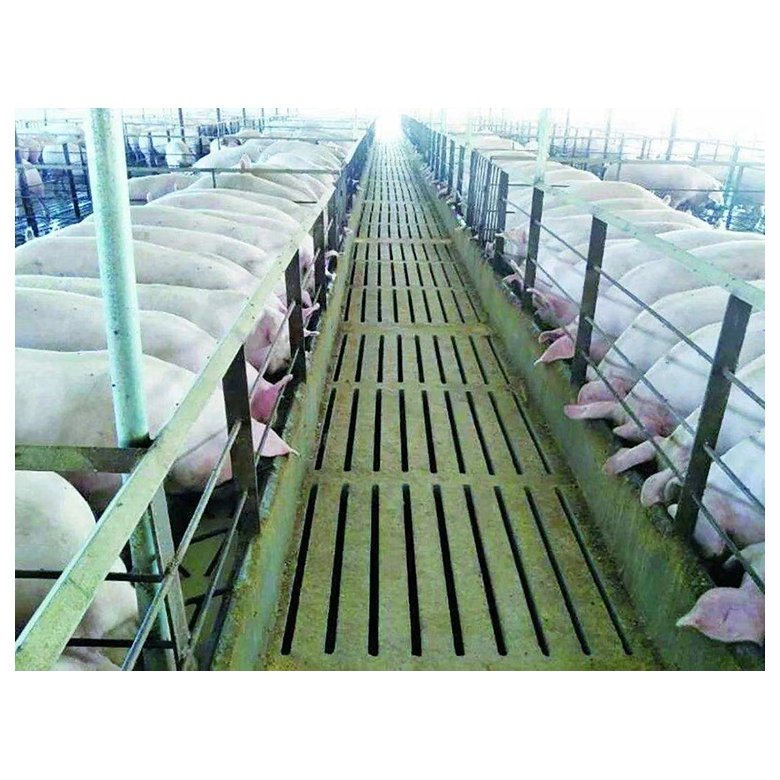 OEM / ODM Custom 1% Suckling Pig Premix