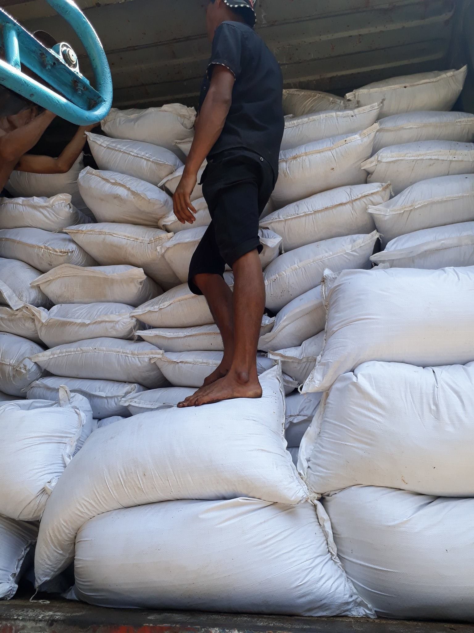 Meat Bone Meal A Solution for Nutritious and Delicious Animal Feed