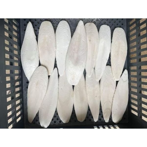 A+ Grade Cuttlebone for animal feed ready to export