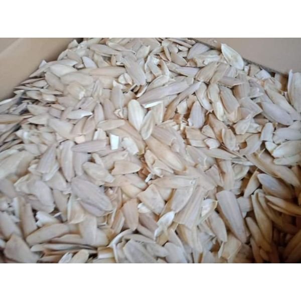 A+ Grade Cuttlebone for animal feed ready to export
