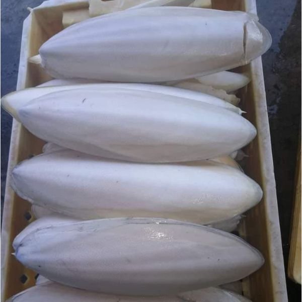 A+ Grade Cuttlebone for animal feed ready to export