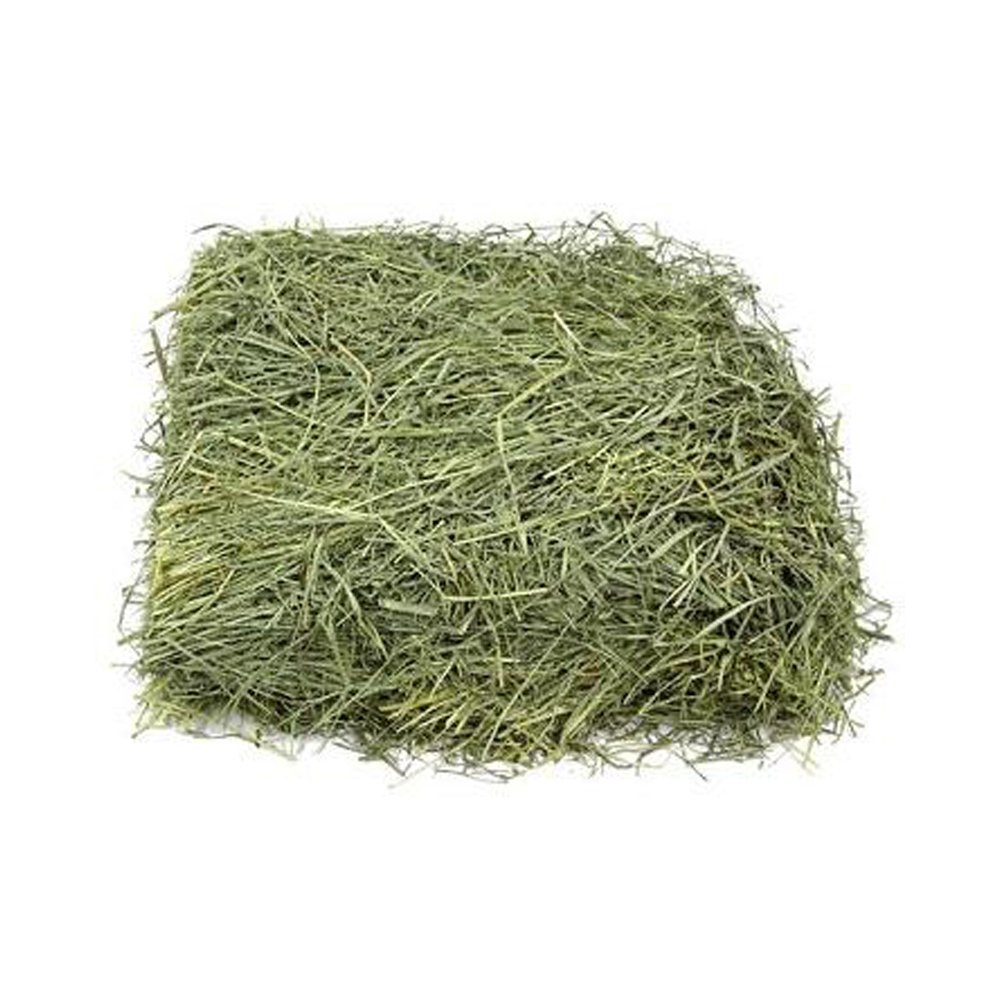 High quality alfalfa hay for animal feed available at factory price perfect for bulk wholesale and livestock farmers