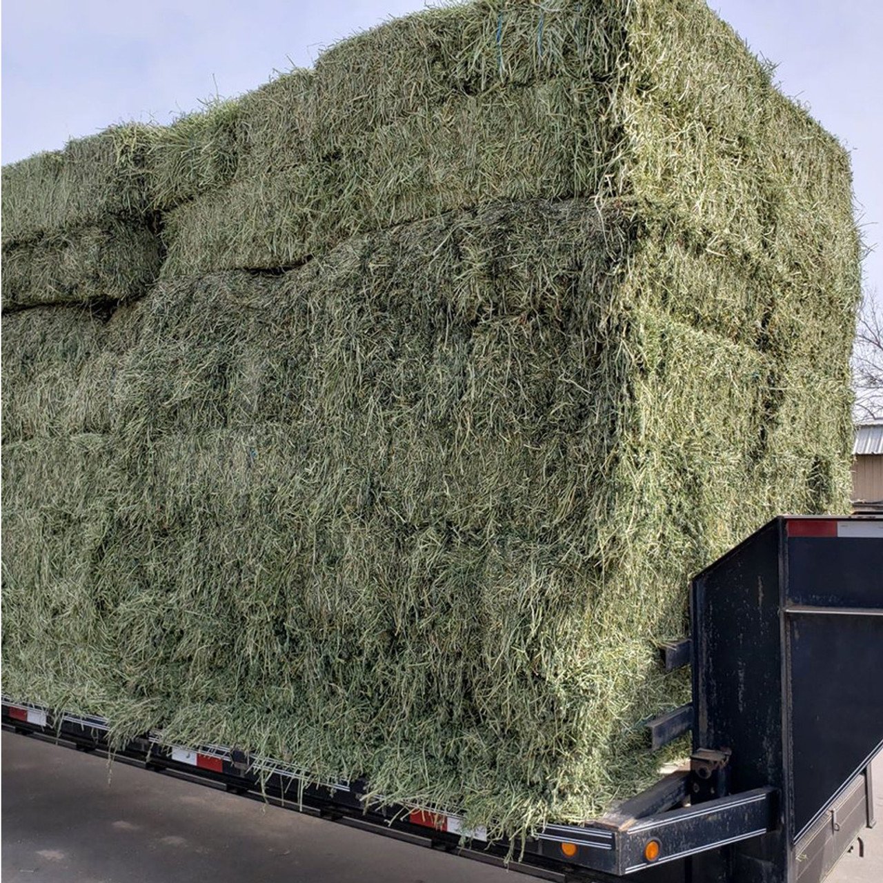 High quality alfalfa hay for animal feed available at factory price perfect for bulk wholesale and livestock farmers