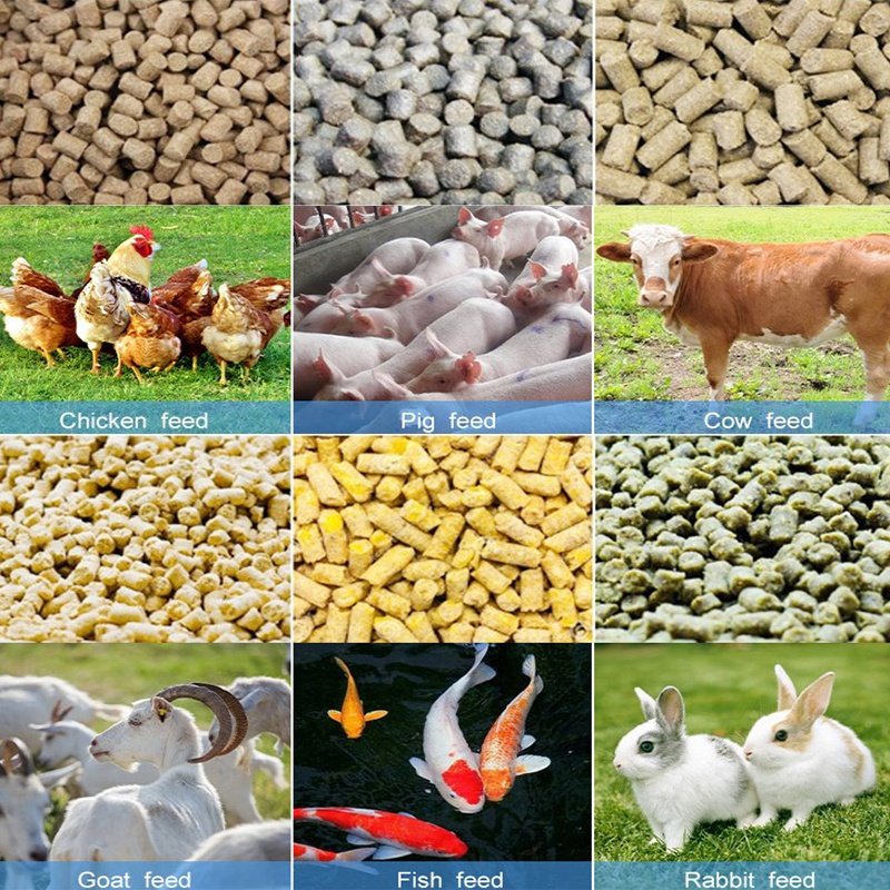 MACREAT Animals Feed Pallet Maker Cat Floating Feeds Pellet Making Machine Poultry Feed Processing Machinery