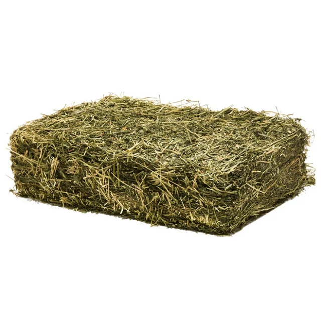 Premium Organic Alfalfa Hay/ Rhode Grass Hay / Timothy Hay Animal Feed for Sale