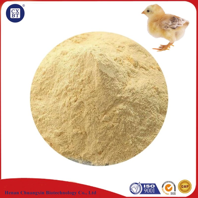feed additives for animal feed angel nutrition protein 65% extract powder yeast powder best price