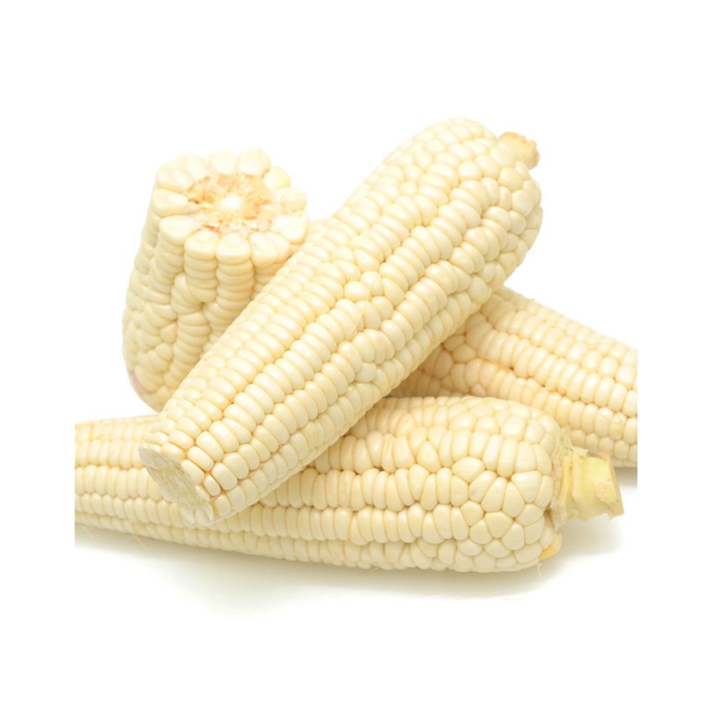 New Crop White Corn Maize for human and animal feed grade consumption White Corn For Poultry Feed Seeds