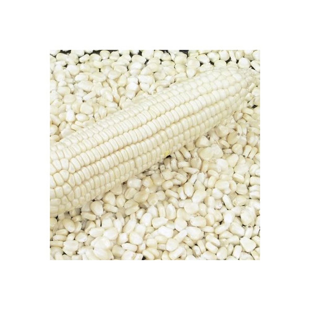 New Crop White Corn Maize for human and animal feed grade consumption White Corn For Poultry Feed Seeds