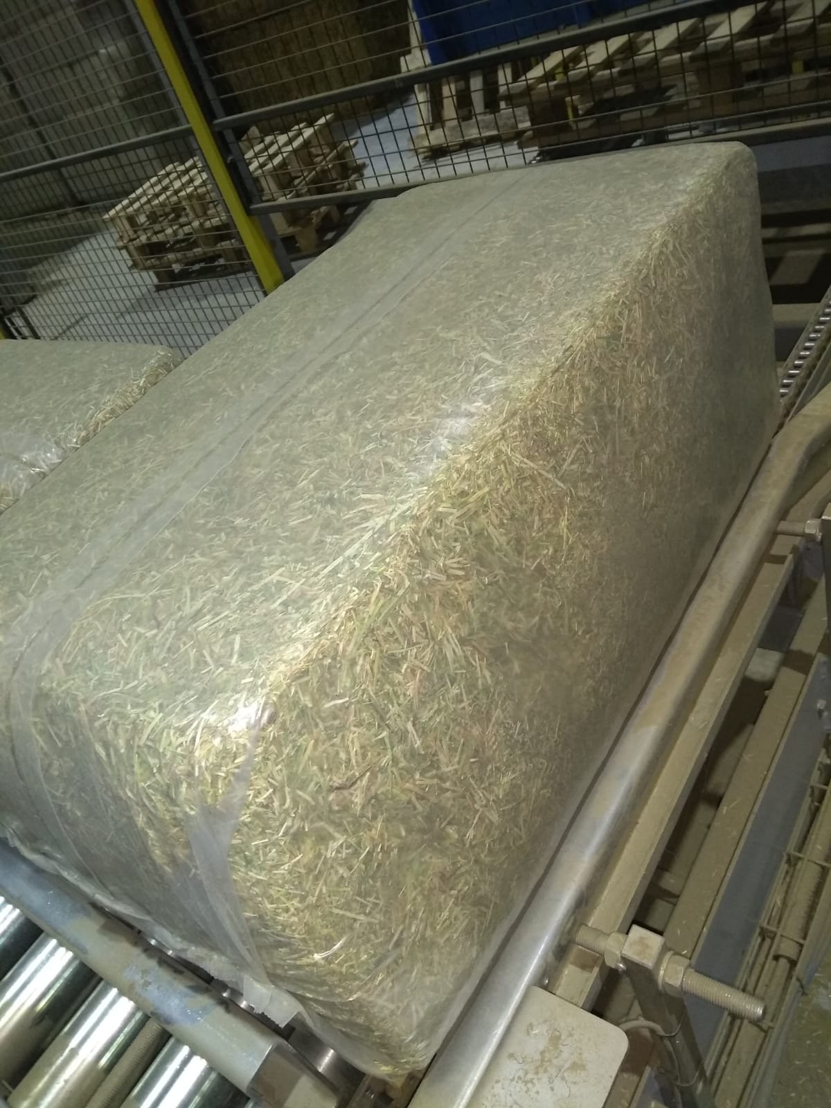 Organic BIO alfalfa grass hay factory dried organic chicken feed