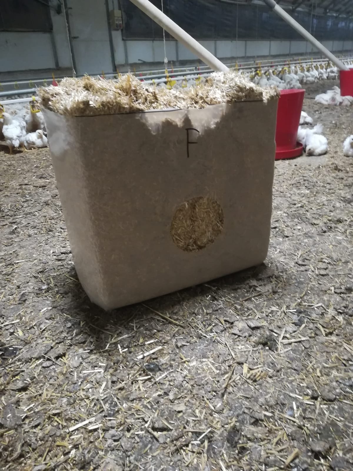 Organic BIO alfalfa grass hay factory dried organic chicken feed