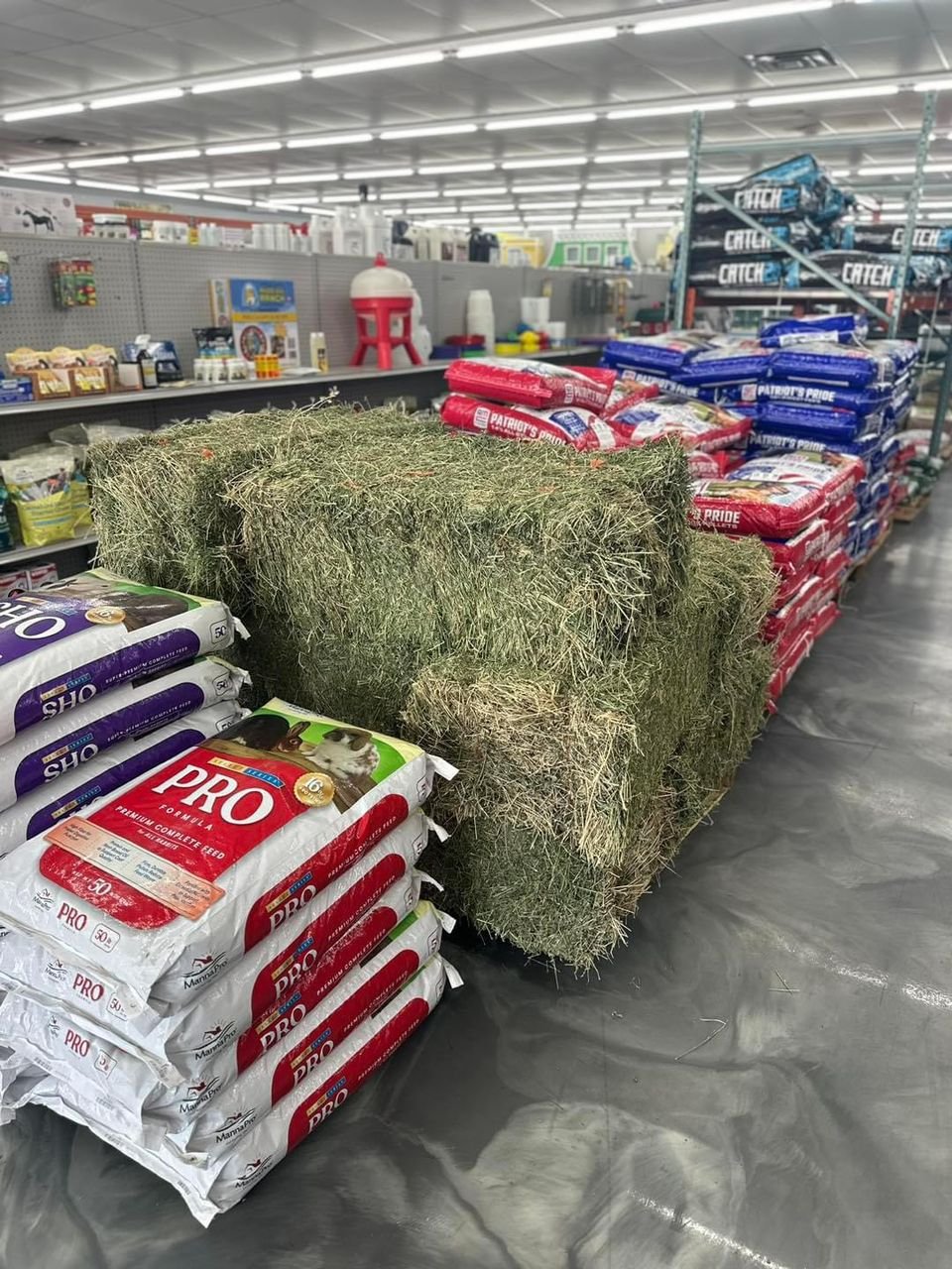 Quality Timothy Hay bays / Timothy Hay Dehydrated Timothy Hay cubes timothy hay Timothy Hay for Animal Feeding /alfalfa hay pell