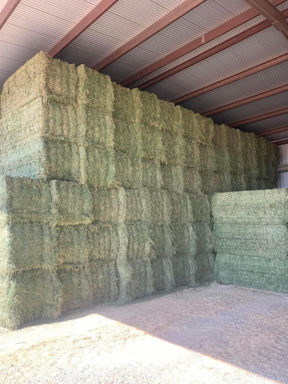 Quality Timothy Hay bays / Timothy Hay Dehydrated Timothy Hay cubes timothy hay Timothy Hay for Animal Feeding /alfalfa hay pell