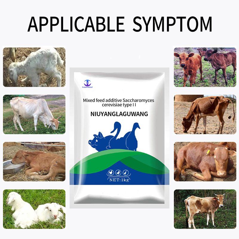Goat meat booster, cow and sheep booster, ruminant animal supplement feed additive