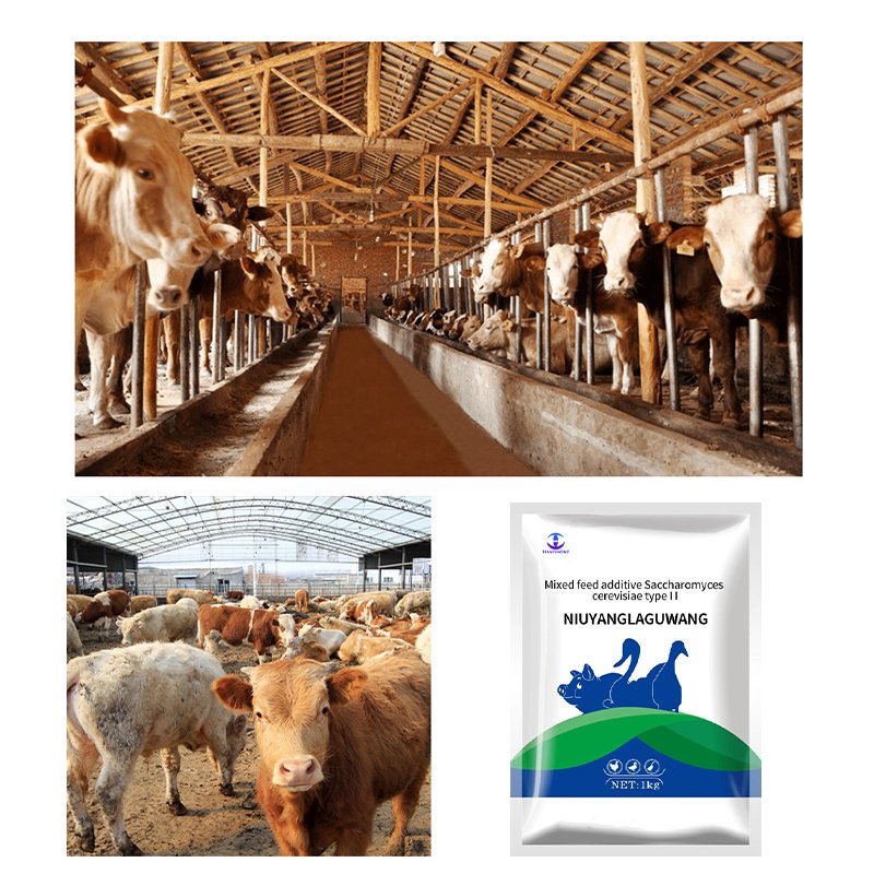 Goat meat booster, cow and sheep booster, ruminant animal supplement feed additive