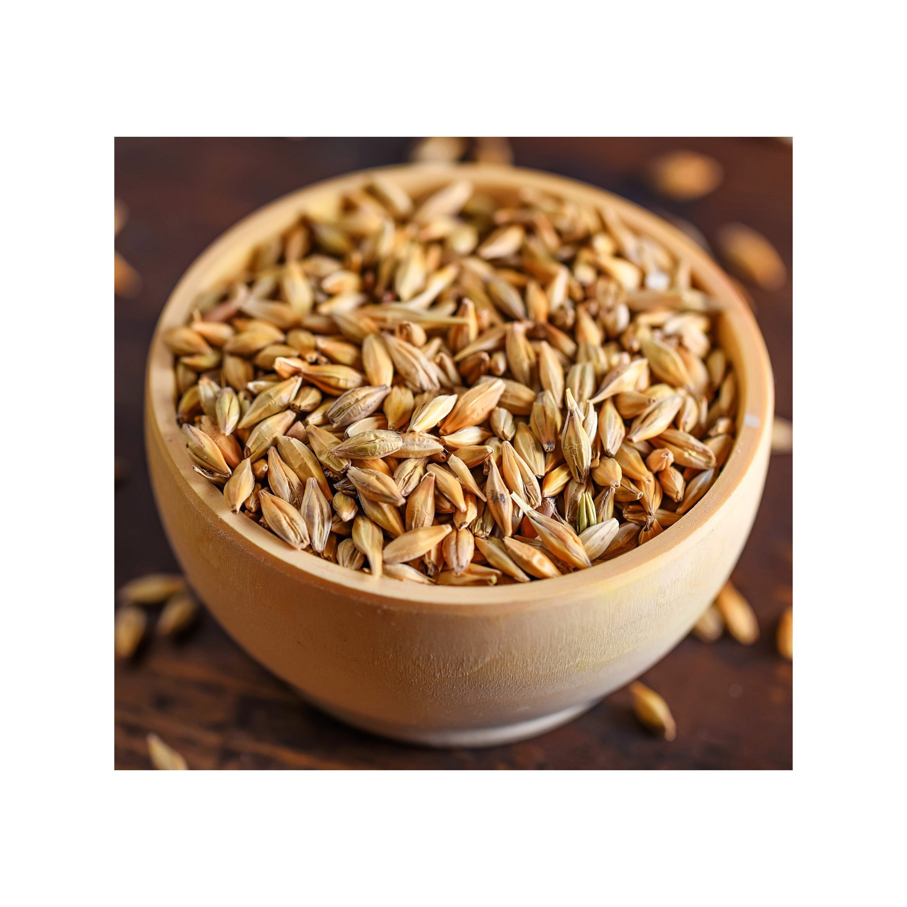 100% Malt Barley, Hulled Barley for export For Sale Animal Feed and Human / Barley Malt top quality