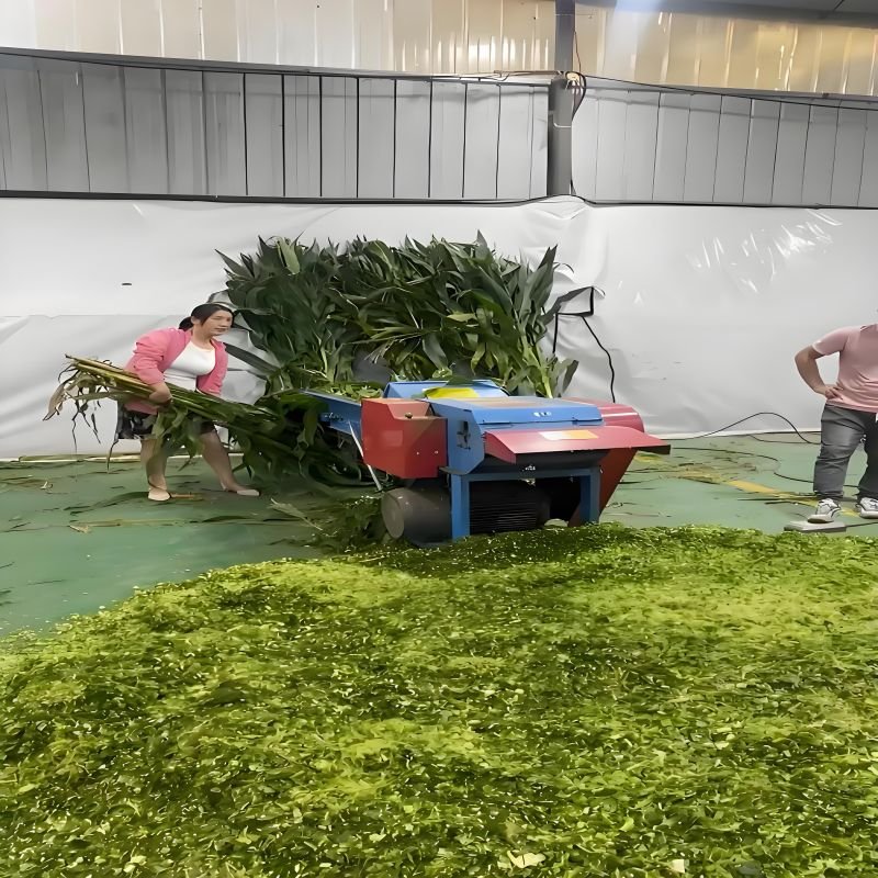 High Productivity Horizontal Forage Silage Grass Chopper Machine New Hot Selling Straw Cutter Mixer Animal Feed Engine Pump Core