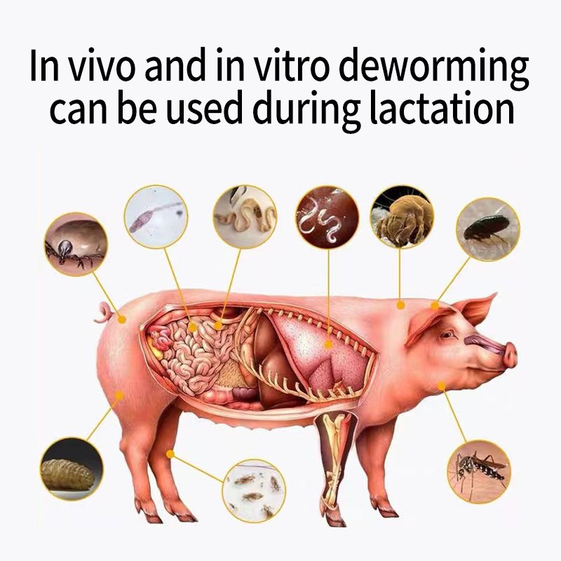 Low price High quality livestock and poultry powder vitamin premix animal feed