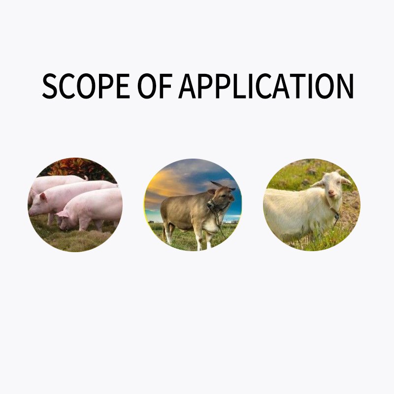 Low price High quality livestock and poultry powder vitamin premix animal feed