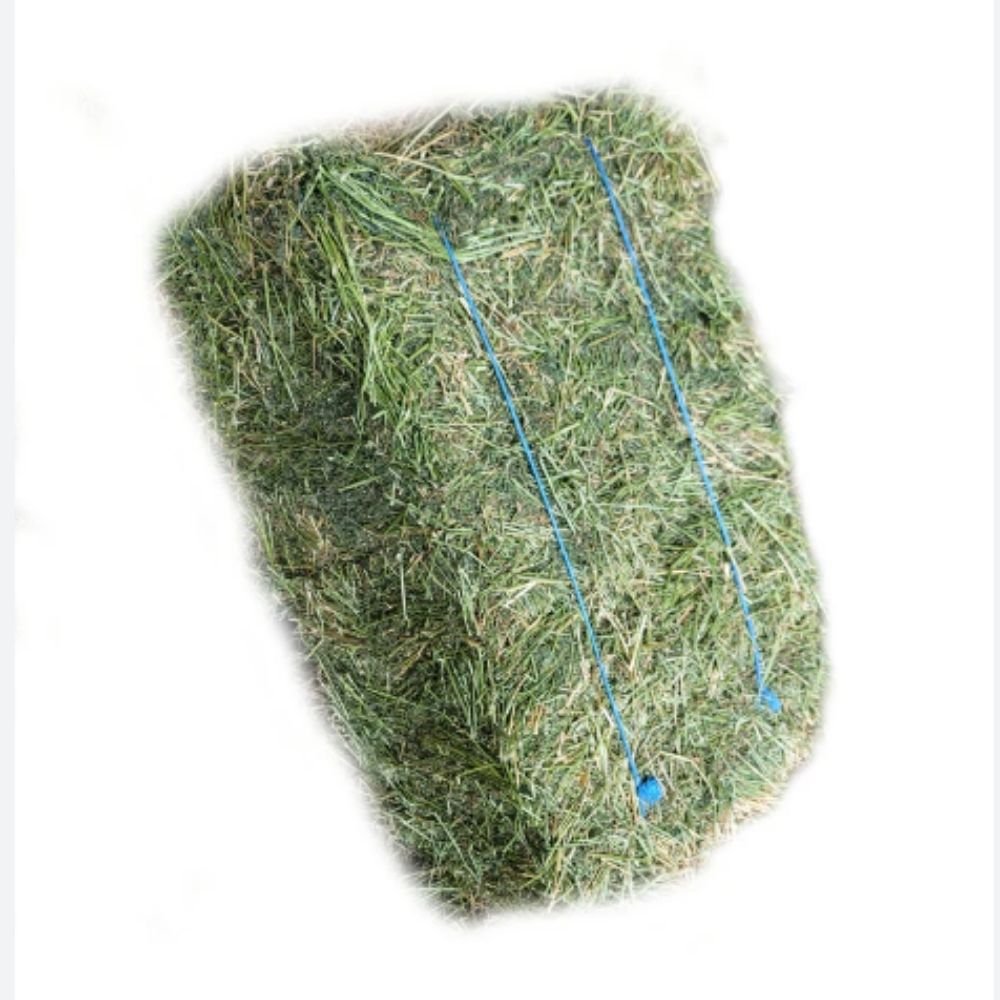 Wholesales alfalfa hay for chickens' grass cubes for horses Natural Cattle Alfalfa Hay Animal Feed for sale / Cheap Top Quality